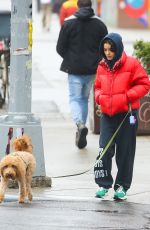 RACHEL ZEGLER Out Walks Her Dog in New York City 04/12/2025