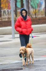 RACHEL ZEGLER Out Walks Her Dog in New York City 04/12/2025