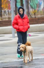 RACHEL ZEGLER Out Walks Her Dog in New York City 04/12/2025
