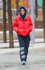 RACHEL ZEGLER Out Walks Her Dog in New York City 04/12/2025