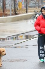 RACHEL ZEGLER Out Walks Her Dog in New York City 04/12/2025