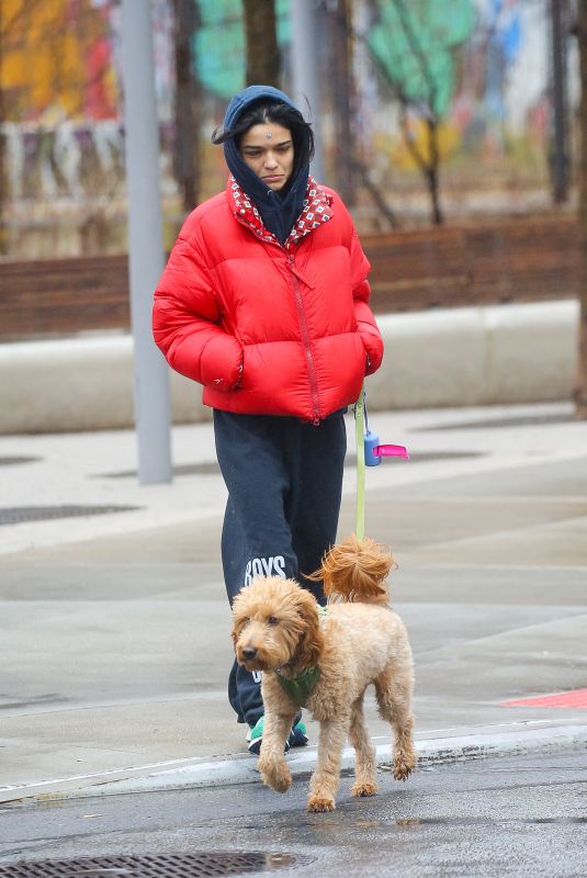 RACHEL ZEGLER Out Walks Her Dog in New York City 04/12/2025