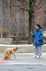 RACHEL ZEGLER Out with Her Dog in New York 04/06/2025