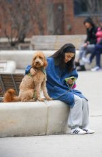 RACHEL ZEGLER Out with Her Dog in New York 04/06/2025