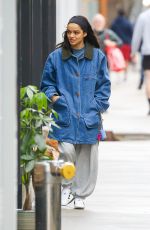 RACHEL ZEGLER Out with Her Dog in New York 04/06/2025