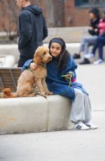 RACHEL ZEGLER Out with Her Dog in New York 04/06/2025