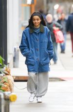 RACHEL ZEGLER Out with Her Dog in New York 04/06/2025