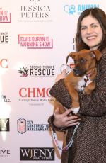 ALEXANDRA DADDARIO at NYC Second Chance Rescue 5th Annual Rescue Ball in New York City 04/29/2025