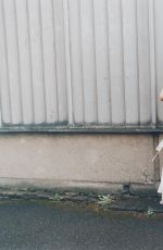 ALICIA VON RITTBERG for Schon! Magazine, May 2025
