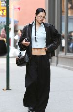AMELIA HAMLIN Out and About in New York City 04/30/2025