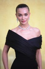 AMY JACKSON at 31st amfAR Gala in Cannes 05/22/2025