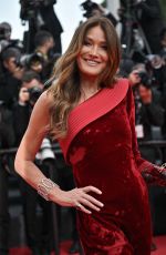 CARLA BRUNI at The Phoenician Scheme Premiere at 78th Cannes Film Festival 05/18/2025