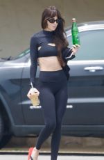 DAKOTA JOHNSON Out and About in Malibu 05/25/2025