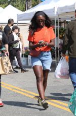 JODIE TURNER-SMITH at a Farmers Market in Los Angeles 05/18/2025