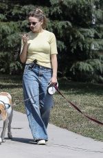 JOEY KING Takes a Phone Call While Walking Her Dogs in Los Feliz 05/29/2025