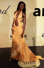 LEOMIE ANDERSON at 31st amfAR Gala in Cannes 05/22/2025