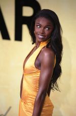 LEOMIE ANDERSON at 31st amfAR Gala in Cannes 05/22/2025