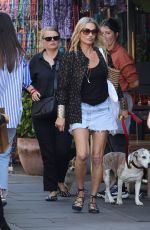 LOTTE MOSS and FIONA YOUNG Out for Dog Walk in Notting Hill 04/29/2025