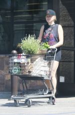 MALIN AKERMAN Out on Grocery Shopping in Los Feliz 05/10/2025