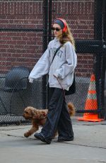 NATALIA DYER Out with Her Dog in New York 05/01/2025