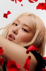 ROSE for Dazed Magazine, Summer 2025