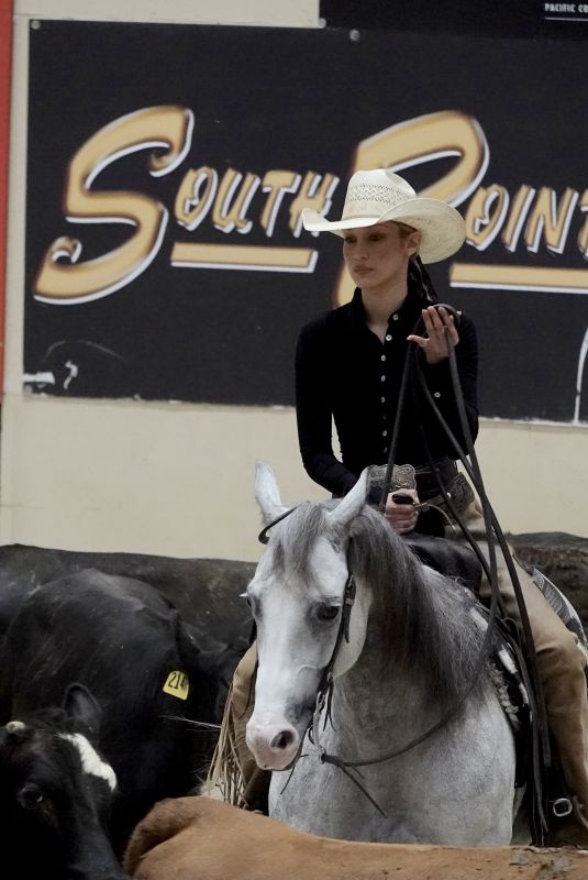 BELLA HADID Practices to Compete in Horse Cutting Championship in Las Vegas 06/15/2025