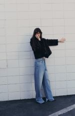 DAKOTA JOHNSON for Flaunt Magazine, June 2025
