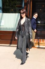 DAKOTA JOHNSON Leaves Greenwich Hotel in New York City 06/02/2025