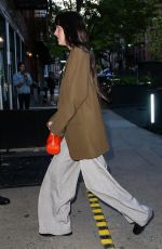 DAKOTA JOHNSON Out for Dinner in New York City 06/01/2025