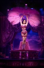 DITA VON TEESE at a Photocall for Diamonds and Dust at Emerald Theatre in London 06/19/2025