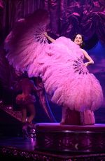 DITA VON TEESE at a Photocall for Diamonds and Dust at Emerald Theatre in London 06/19/2025