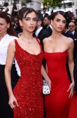 ELISHA and RENEE HERBERT at Highest 2 Lowest Premiere at 78th Annual Cannes Film Festival 05/19/2025