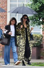 IRINA SHAYK Out with Friends in New York City 06/15/2025