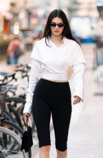 KENDALL JENNER Out and About in Paris 06/24/2025