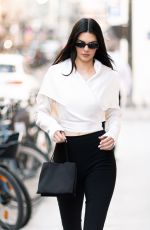 KENDALL JENNER Out and About in Paris 06/24/2025