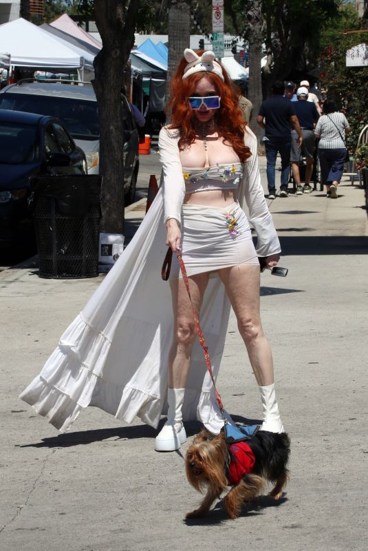 PHOEBE PRICE Out Walks Her Fog at Studio City Farmers Market 06/15/2025