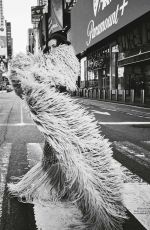 PHOEBE TONKIN in Vogue Australia, June 2025