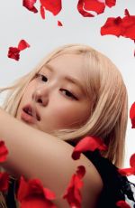 ROSE in Dazed Magazine, Summer 2025
