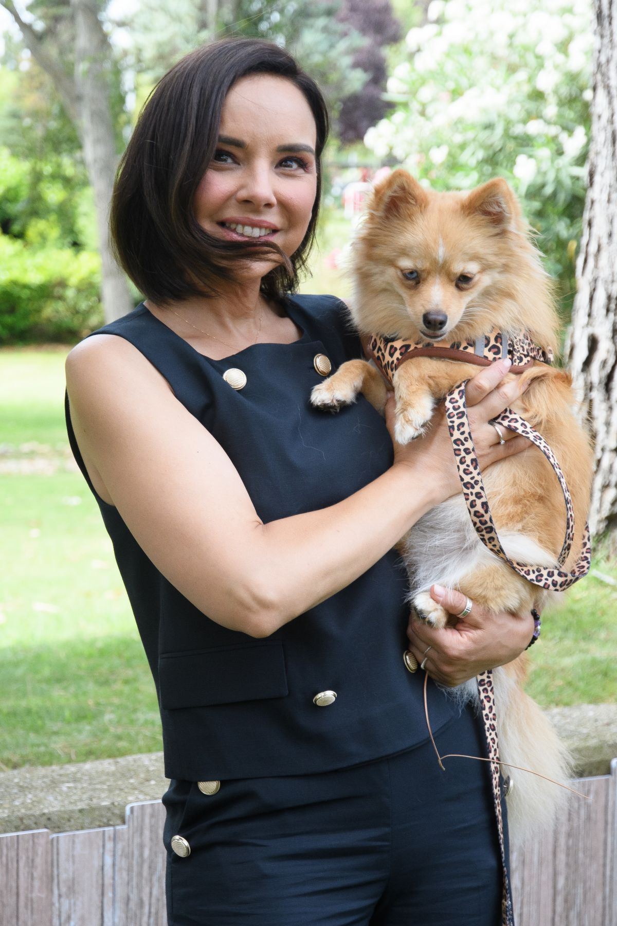 Dog House Program