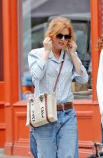 ISLA FISHER Out with Family and Friends in Primrose Hill in London 07/29/2025