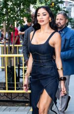 NICOLE SCHERZINGER Out and About in New York City 07/21/2025