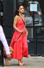 RACHEL ZEGLER Out with Her Dog in London 07/18/2025