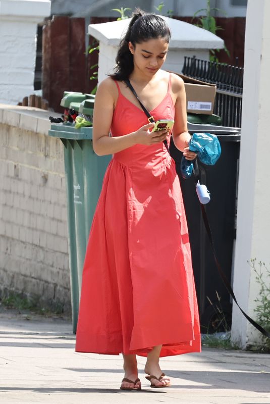 RACHEL ZEGLER Out with Her Dog in London 07/18/2025