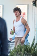 Shawn Mendes Shops for Groceries in Los Angeles 07/08/2025