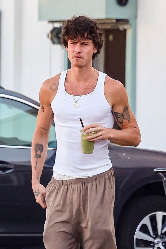 Shawn Mendes Shops for Groceries in Los Angeles 07/08/2025