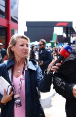 Vin Diesel - F1 Grand Prix of Great Britain 07/06/2025