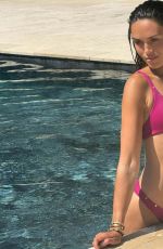 DIANE LEYRE in a Pink Bikini at a Pool 08/13/2025