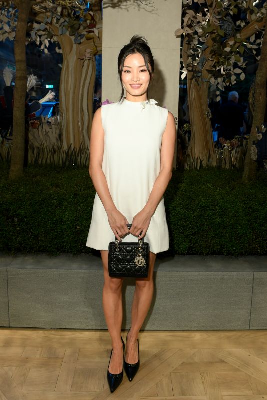 ANNA SAWAI at Fashion Week Party to Unveil Dior