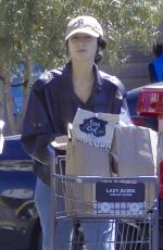 CAYLEE COWAN and Casey Affleck Out for Grocery Shopping in Los Feliz 09/07/2025