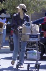 CAYLEE COWAN and Casey Affleck Out for Grocery Shopping in Los Feliz 09/07/2025